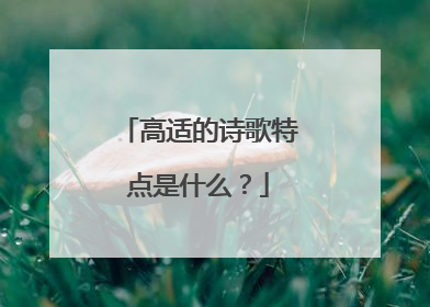 高适的诗歌特点是什么？