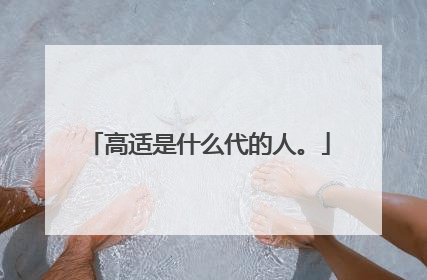 高适是什么代的人。