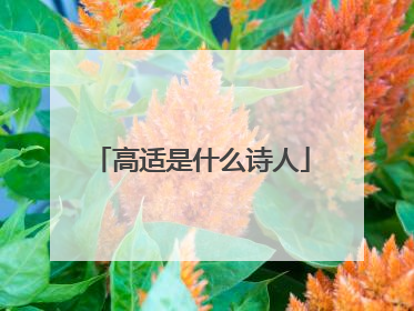 高适是什么诗人