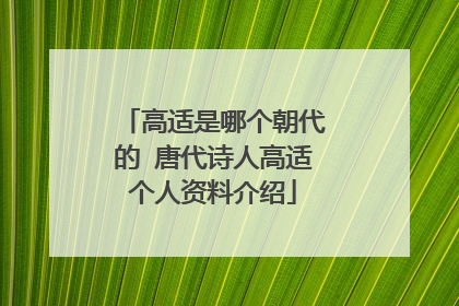 高适是哪个朝代的 唐代诗人高适个人资料介绍