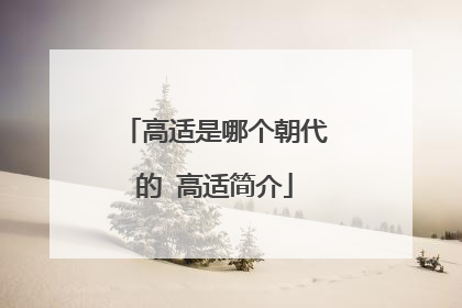 高适是哪个朝代的 高适简介