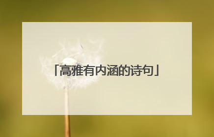 高雅有内涵的诗句