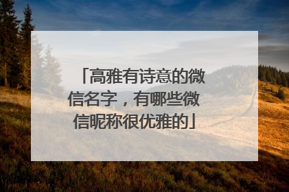 高雅有诗意的微信名字,有哪些微信昵称很优雅的