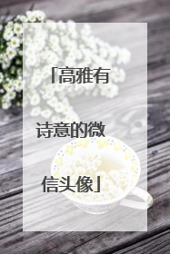 高雅有诗意的微信头像
