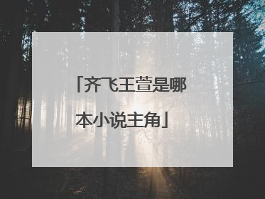 齐飞王萱是哪本小说主角