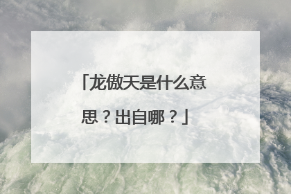 龙傲天是什么意思？出自哪？