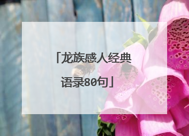 龙族感人经典语录80句