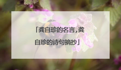 龚自珍的名言,龚自珍的诗句摘抄