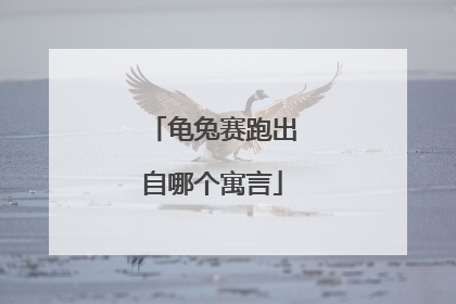 龟兔赛跑出自哪个寓言