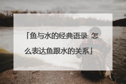 鱼与水的经典语录 怎么表达鱼跟水的关系