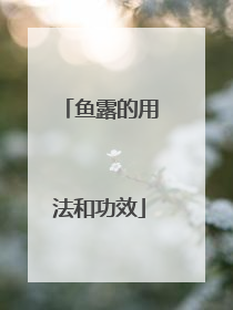 鱼露的用法和功效