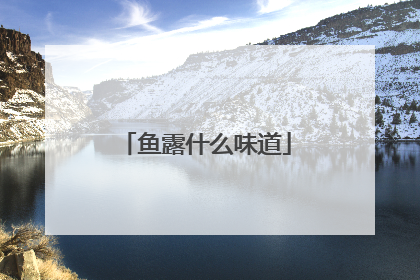 鱼露什么味道