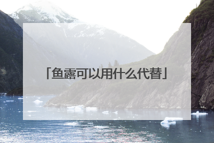 鱼露可以用什么代替