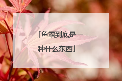 鱼露到底是一种什么东西