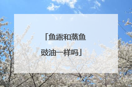 鱼露和蒸鱼豉油一样吗