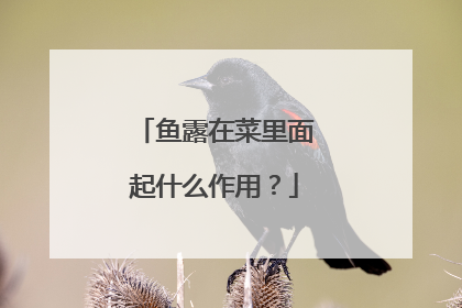 鱼露在菜里面起什么作用?