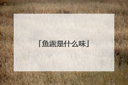 鱼露是什么味