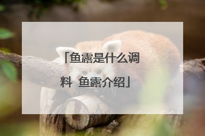 鱼露是什么调料 鱼露介绍