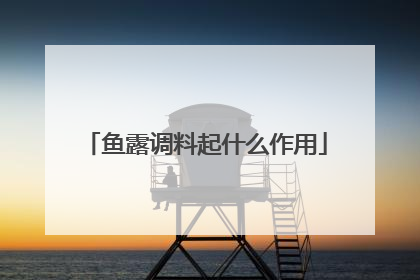 鱼露调料起什么作用