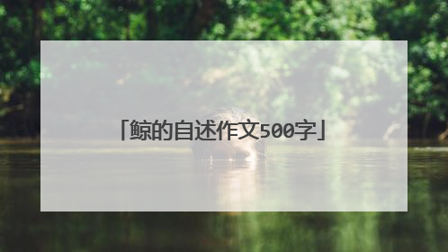 鲸的自述作文500字