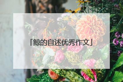 鲸的自述优秀作文