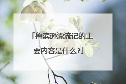 鲁滨逊漂流记的主要内容是什么?