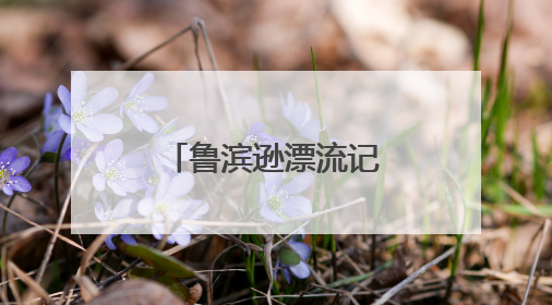 鲁滨逊漂流记简介50字