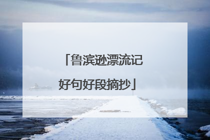 鲁滨逊漂流记好句好段摘抄
