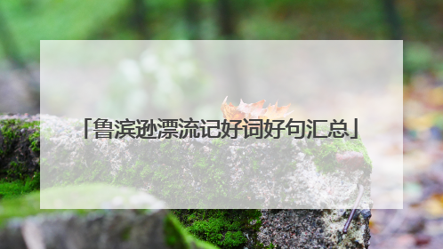 鲁滨逊漂流记好词好句汇总