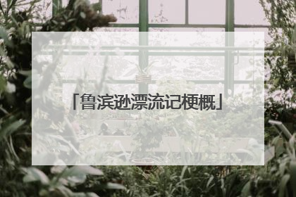 鲁滨逊漂流记梗概