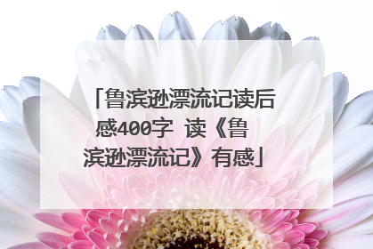 鲁滨逊漂流记读后感400字 读《鲁滨逊漂流记》有感