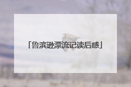 鲁滨逊漂流记读后感