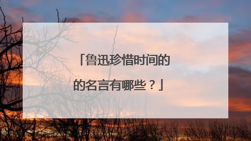 鲁迅珍惜时间的的名言有哪些?