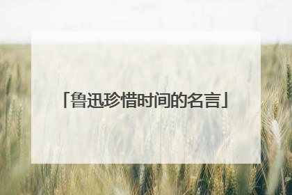 鲁迅珍惜时间的名言