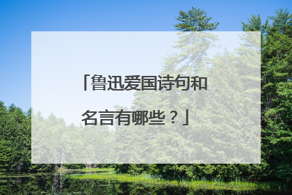 鲁迅爱国诗句和名言有哪些?