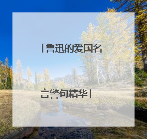 鲁迅的爱国名言警句精华