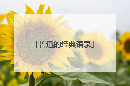 鲁迅的经典语录