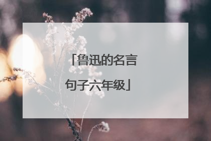 鲁迅的名言句子六年级