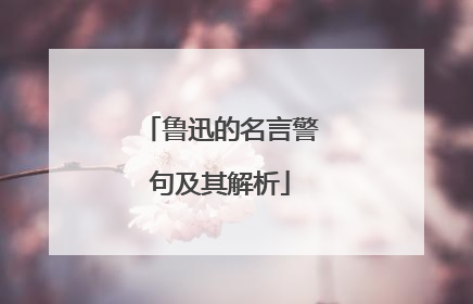 鲁迅的名言警句及其解析