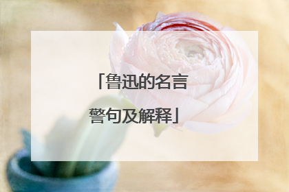 鲁迅的名言警句及解释