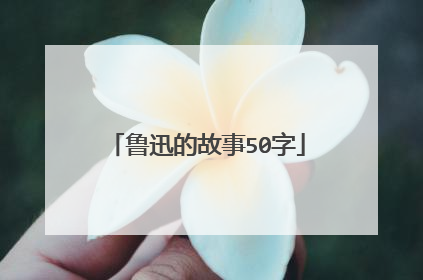 鲁迅的故事50字