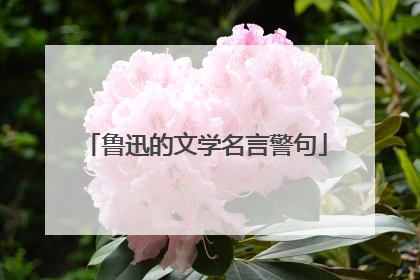 鲁迅的文学名言警句