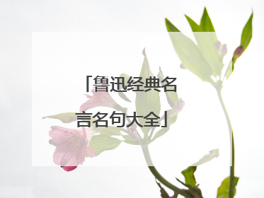 鲁迅经典名言名句大全