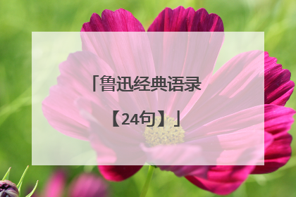 鲁迅经典语录【24句】