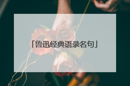 鲁迅经典语录名句