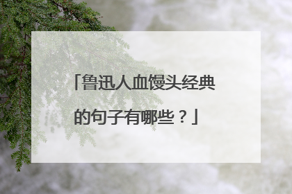鲁迅人血馒头经典的句子有哪些？