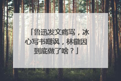 鲁迅发文痛骂，冰心写书嘲讽，林徽因到底做了啥？
