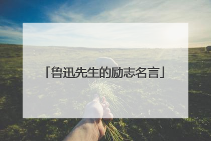 鲁迅先生的励志名言