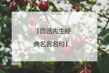 鲁迅先生经典名言名句