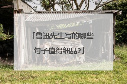 鲁迅先生写的哪些句子值得细品?